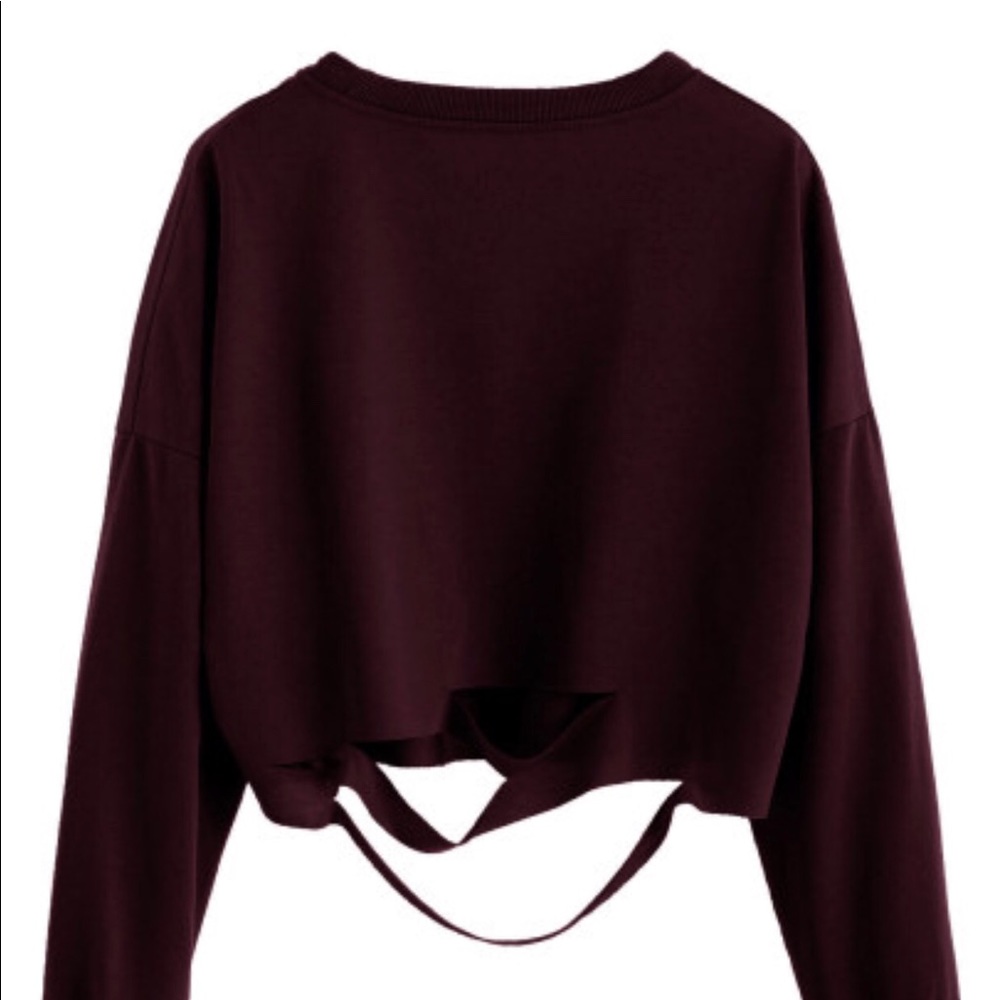 Sweatshirt and free gift